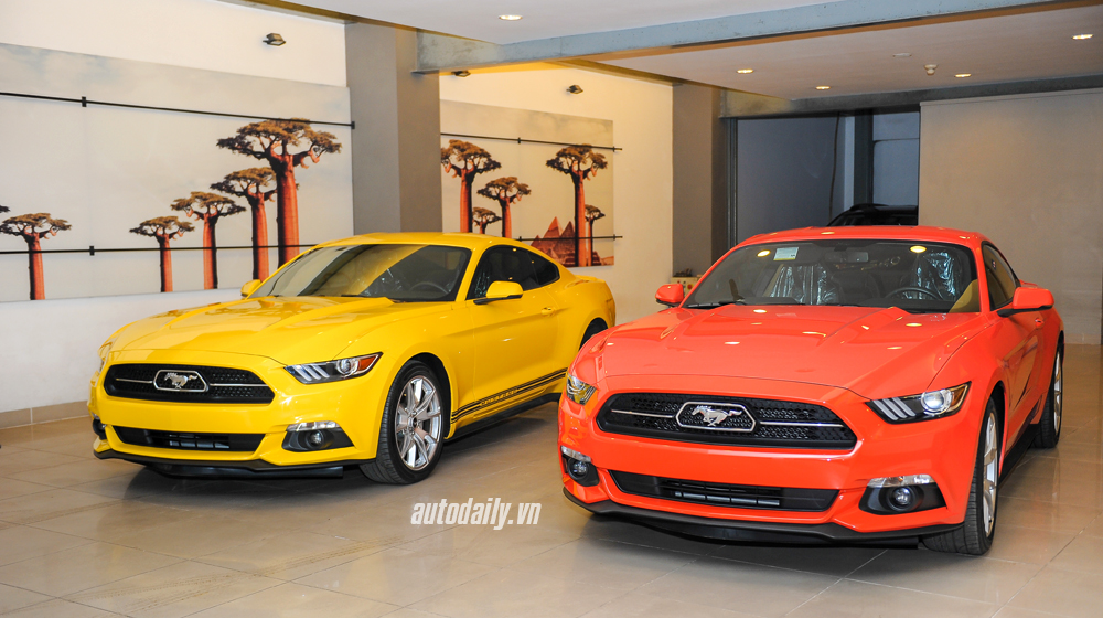 Ford%20Mustang%20b%E1%BA%A3n%2050%20n%C4%83m%20(3).jpg