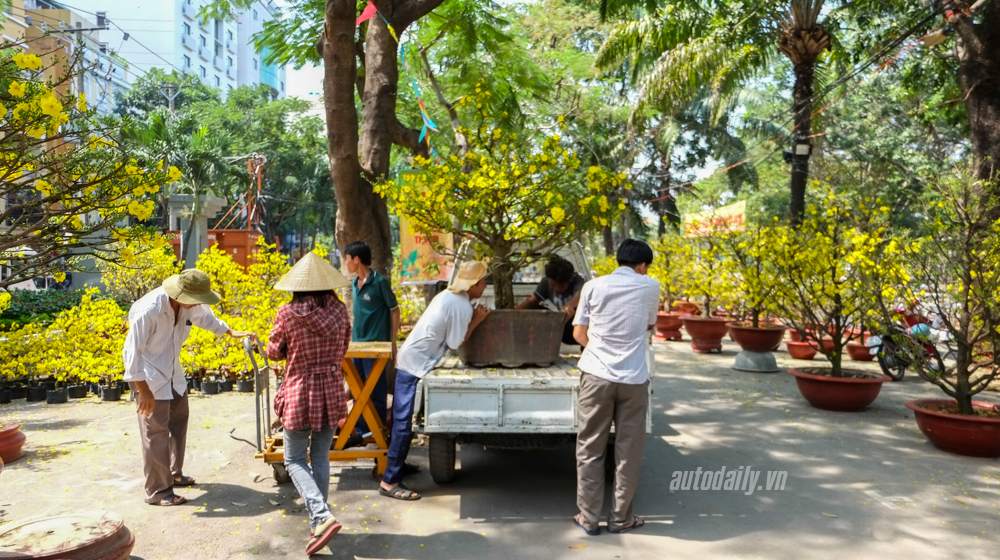 Phong_su_anh_Tet_2016%20(12).jpg