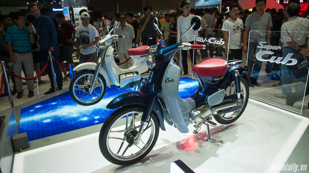 Honda_Cub%20(3).jpg