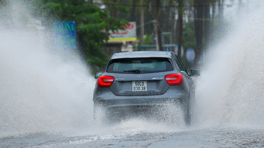 2 (17)-2.jpg 2 (17)-2.jpg