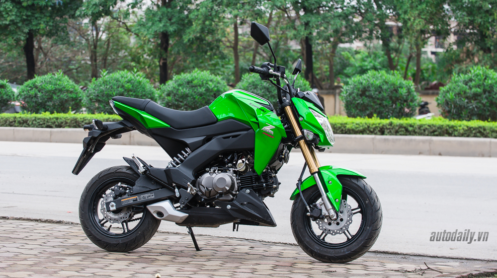Kawasaki Z125 Pro Transformed Into A FullyFaired Ninja H2 LookAlike
